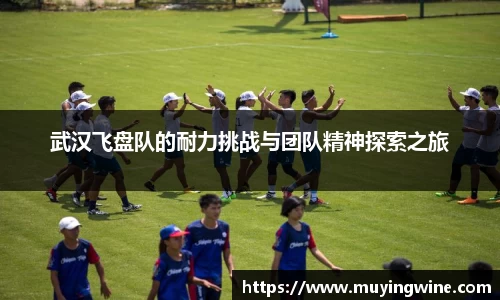武汉飞盘队的耐力挑战与团队精神探索之旅