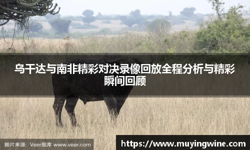 乌干达与南非精彩对决录像回放全程分析与精彩瞬间回顾